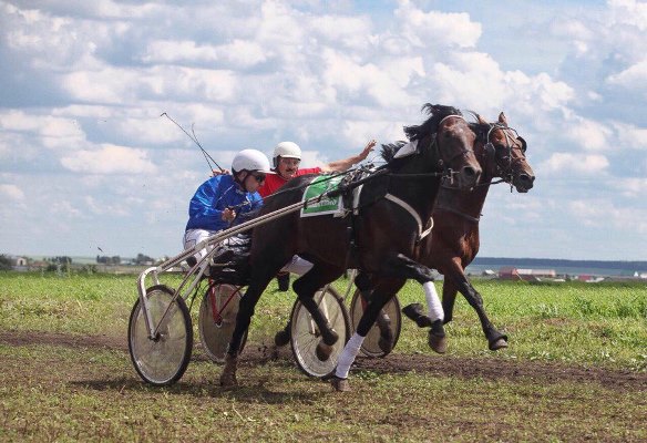 iljyjKmCZdQ.jpg iljyjKmCZdQ.jpg